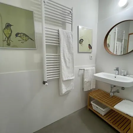 Apartment Loveporto Varanda/jardim@c.hist *